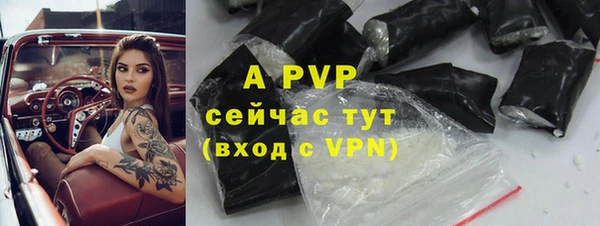 стаф Гусиноозёрск