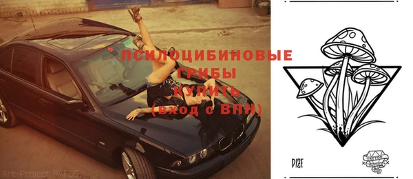 гашик Горно-Алтайск