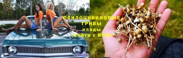 ALPHA-PVP Горняк