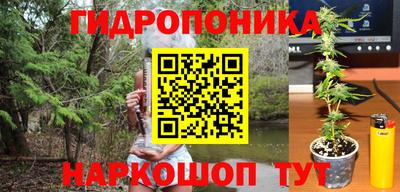 ГАЛЛЮЦИНОГЕННЫЕ ГРИБЫ Бийск