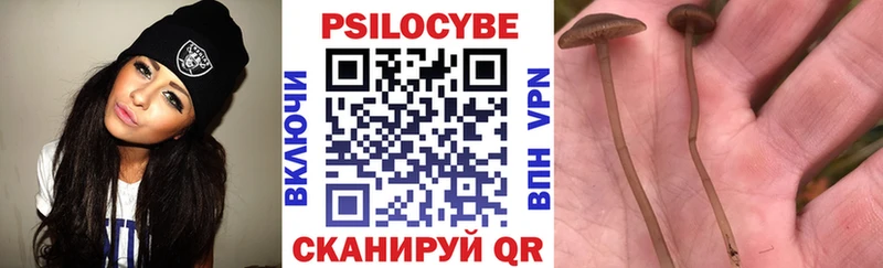 Псилоцибиновые грибы MAGIC MUSHROOMS  закладки  Моршанск 