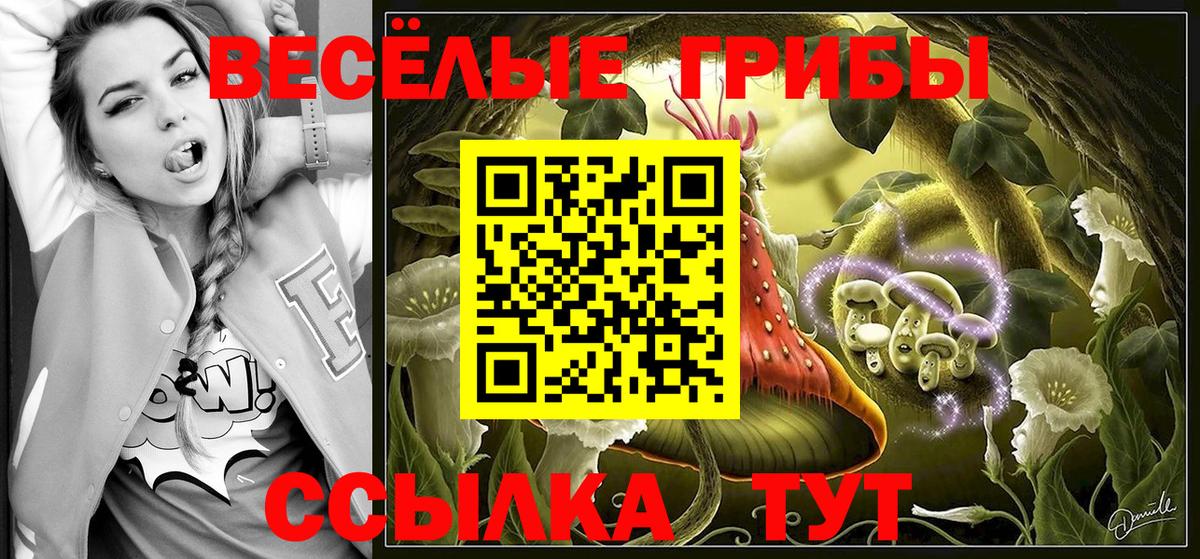 Псилоцибиновые грибы Psilocybe  Моршанск  Псилоцибиновые грибы Psilocybe 