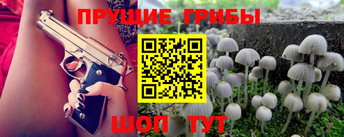 закладки  Псилоцибиновые грибы мицелий  Вход с VPN  Моршанск 