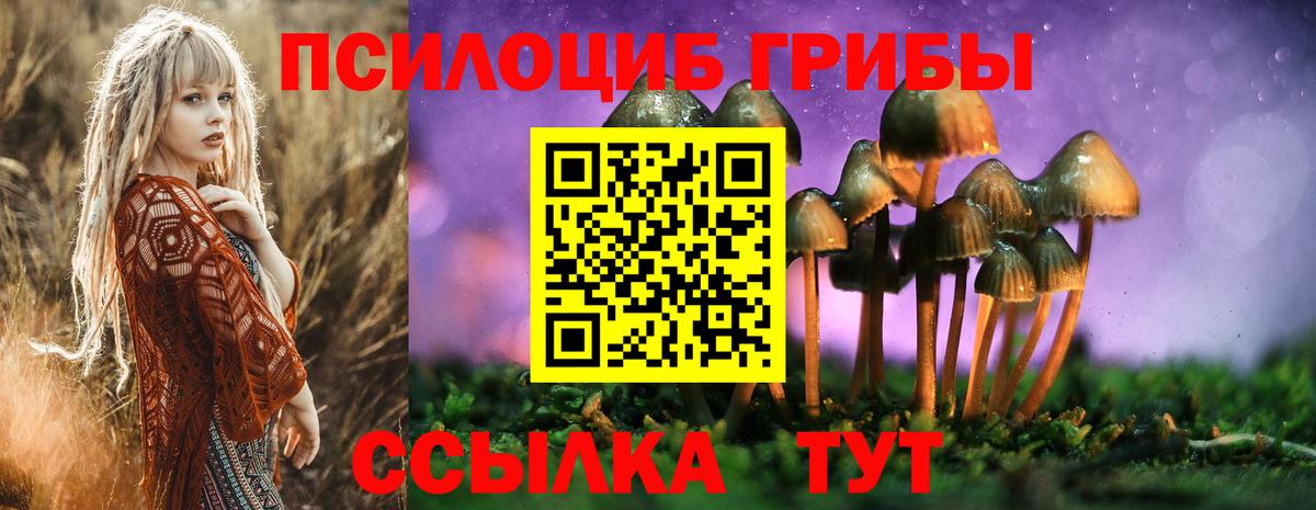 Галлюциногенные грибы Psilocybine cubensis Моршанск